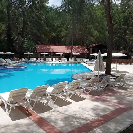 Club Festival Hotel 4*