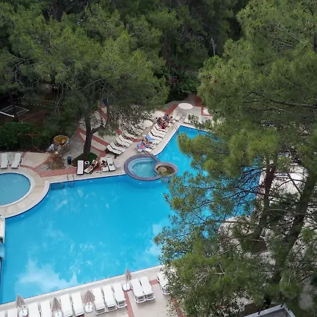 Hotel Club Festival